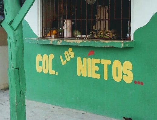 Colmado Los Nietos