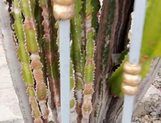 Ensanche Libertad Policía Nacional de Santiago