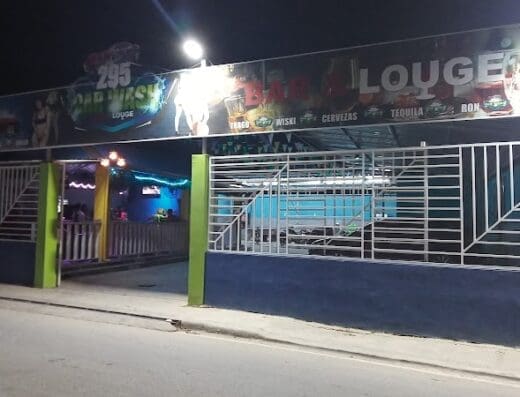 295 CAR WASH BAR AND LOUSH
