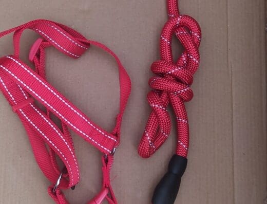 Agro Veterinaria La Genesis