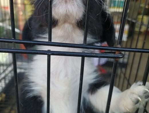 Agro veterinaria la misionera