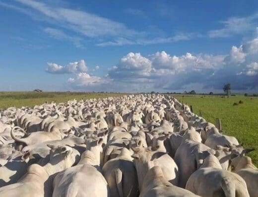 Agroservicios Santa Clara