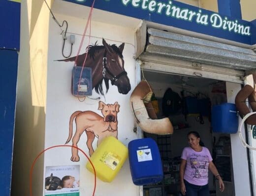 Agroveterinaria Divina