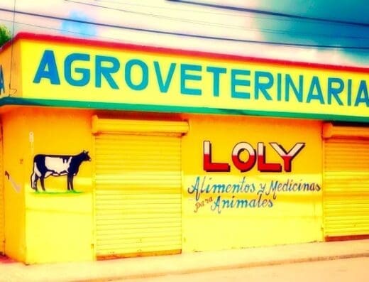 Agroveterinaria Loly