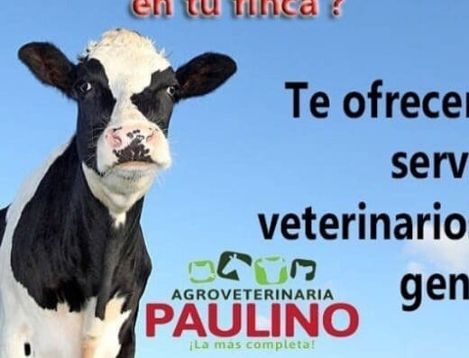 Agroveterinaria Paulino