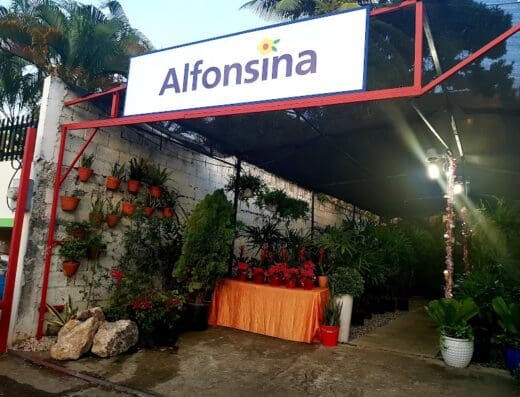 Alfonsina Jardinería