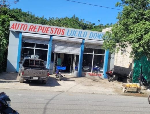 Auto Repuestos Lucilo Domínguez SRL
