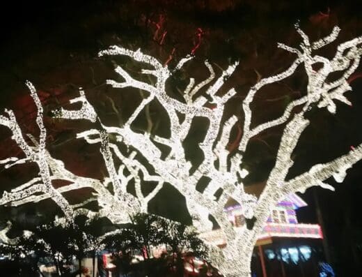 Ayuntamiento Municipal