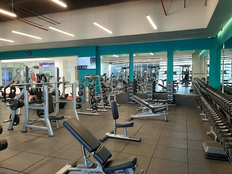 Body Shop | Punta Cana