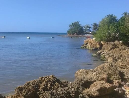 CENTRO DE VIDEO JUEGOS PUCHIMAN