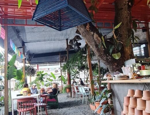 Cactus café by PIMART