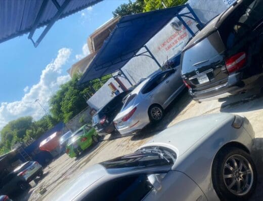 Car Cleaning/Wash Elvis