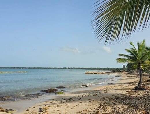 Casalina Inmobiliaria