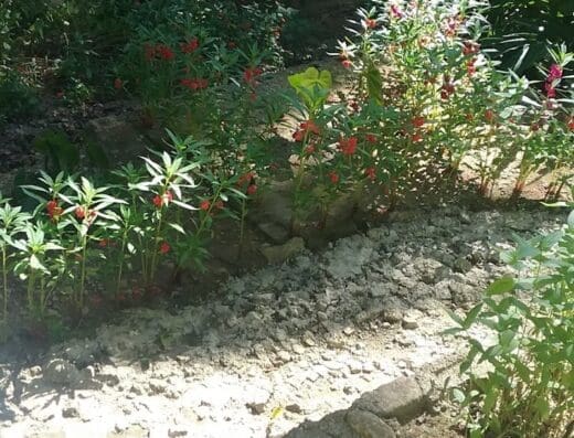 Centro De Proteccion Jardin De Villa Flor