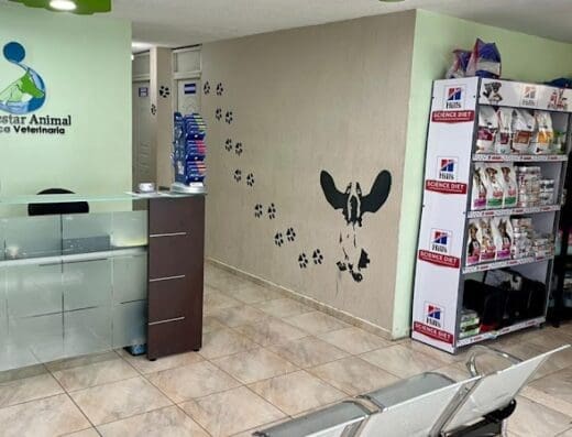 Clínica Veterinaria Bienestar Animal