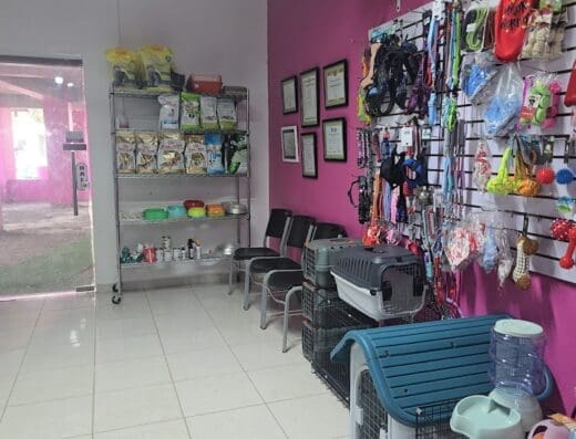 Clínica Veterinaria Colita Feliz