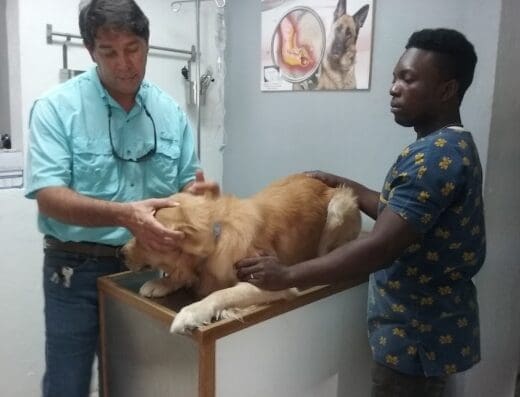 Clinica Veterinaria PetLove