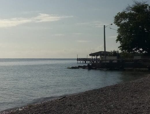 Compra y Venta de Frutos del País Arin Feliz