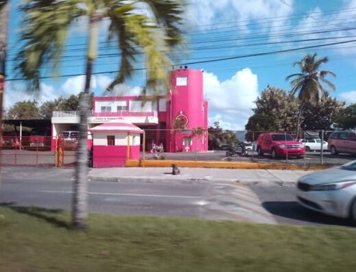Cuerpos De Bomberos El Seibo (Central)