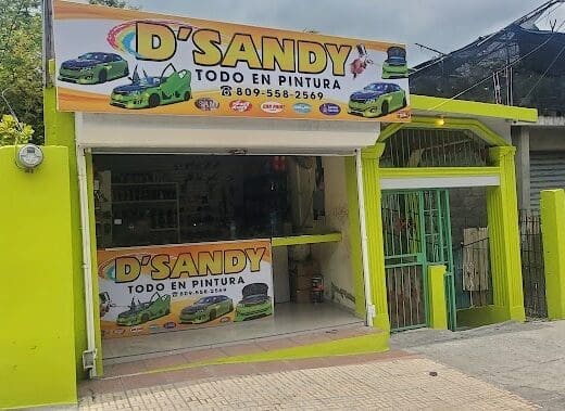 D sandy todo en pintura 2