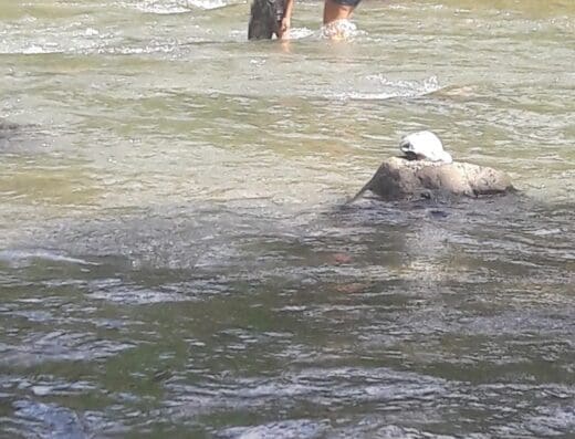 Electromuebles Roberto Showroom