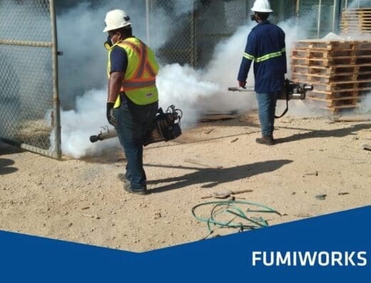 FUMIWORKS – Zona Este