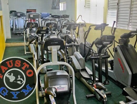 Fausto Gym