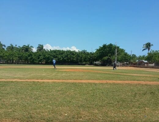 Fernando Tatis Academy