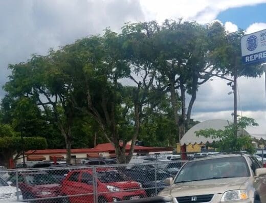 Ferreiras Motors Srl