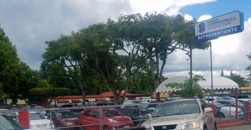 Ferreiras Motors Srl