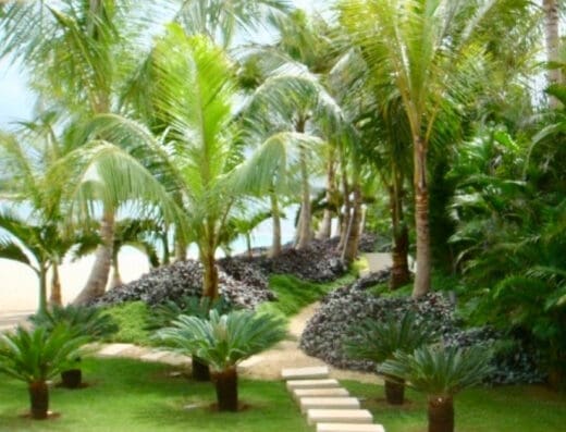 Francisco Aybar Landscaping and Property Management