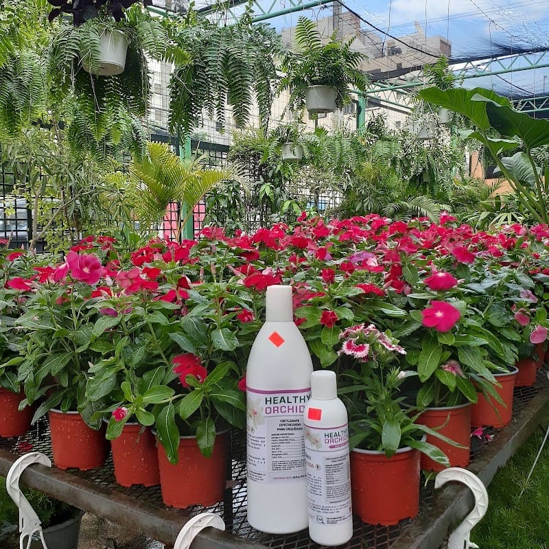 Interflora Quisqueyana SRL