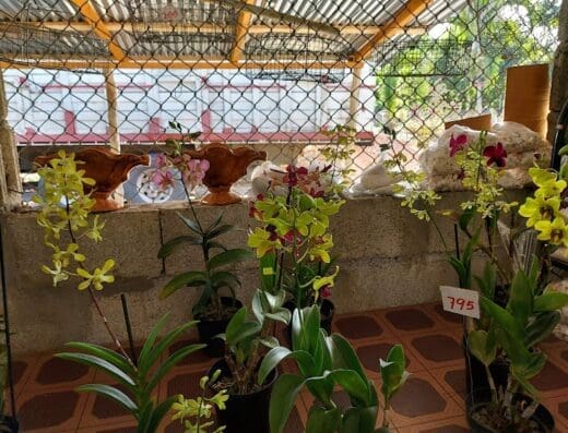 Jardinería El Rosal