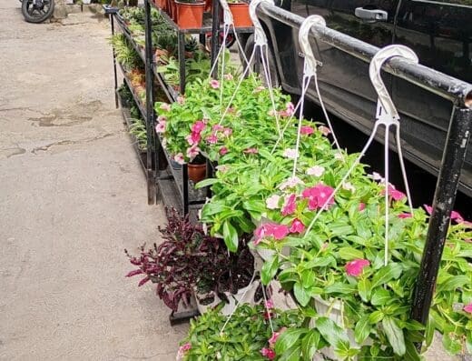 Jardinería y Huerto Ezequiel