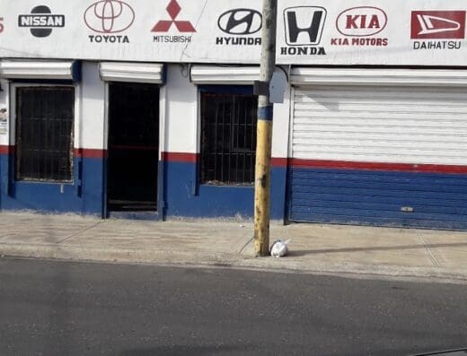 Mota Gil Auto Parts.