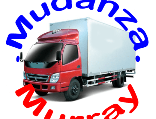 Mudanza y Acarreo Murray