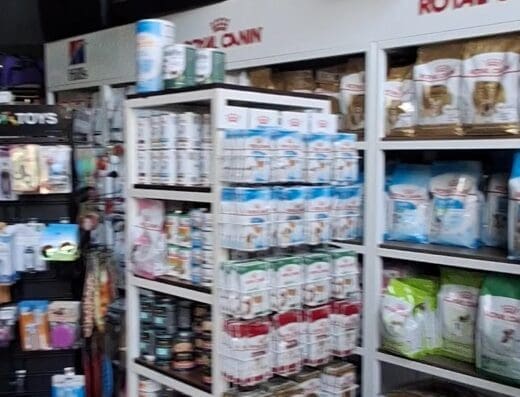 My Dog RD Punta Cana