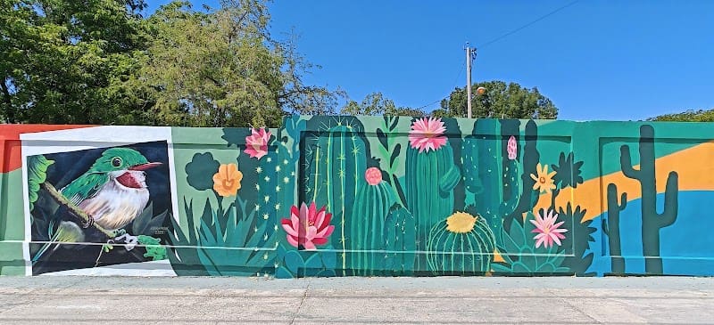 Paseo de Los Colores Azua El Buen Pastor