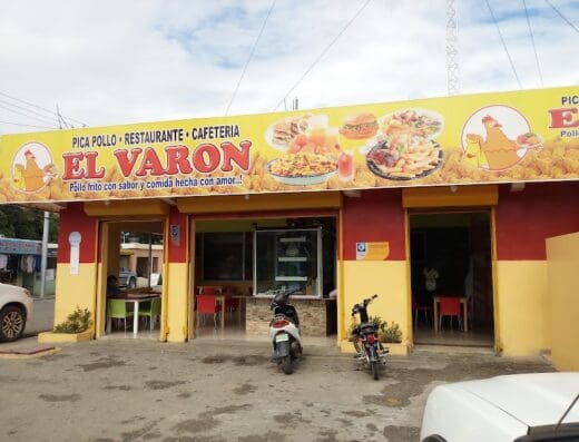 Pica Pollo Don Orquidea