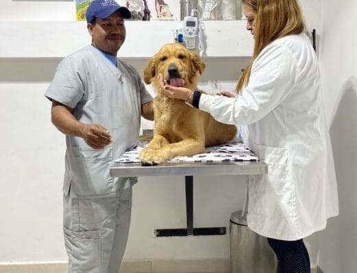 Punta Cana Pet Center