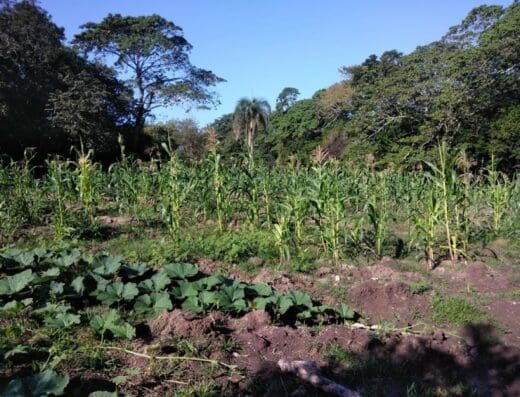 Rancho Maria Paulina