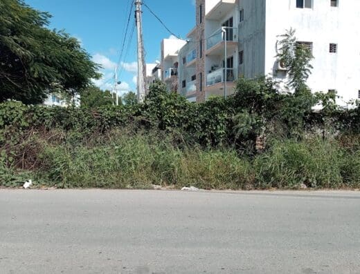 Residencial Alexander II, La Romana