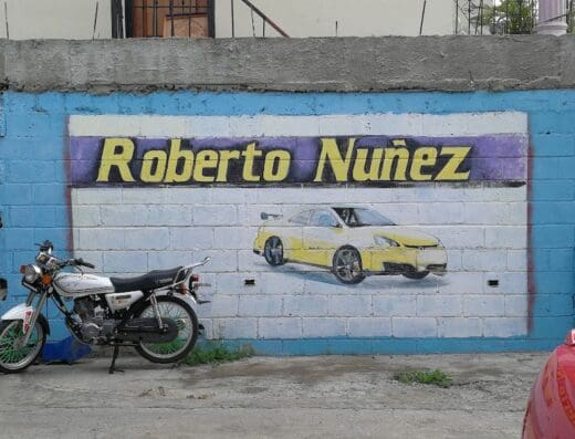 Roberto Nuñez Mecanico