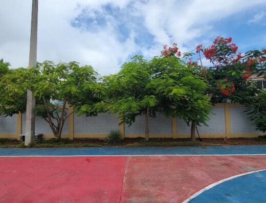 SECUNDARIA LEONIDAS RICARDO ROMAN (HATICO)