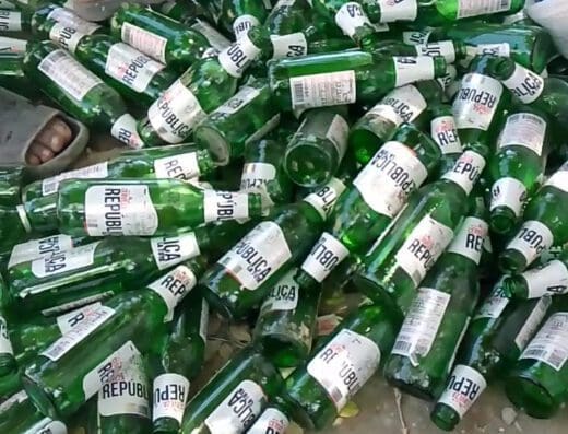 The Bolo Peluquería