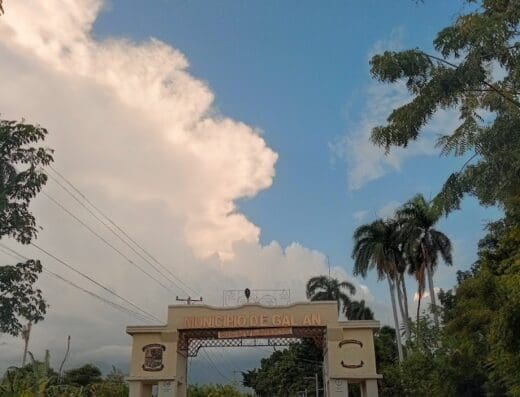 Veterinaria La Efectiva