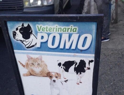 Veterinaria Pomo