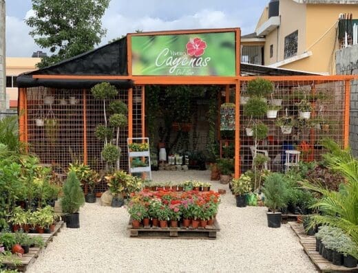 Vivero Cayenas Del Sur