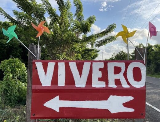 Vivero «El Diamante»