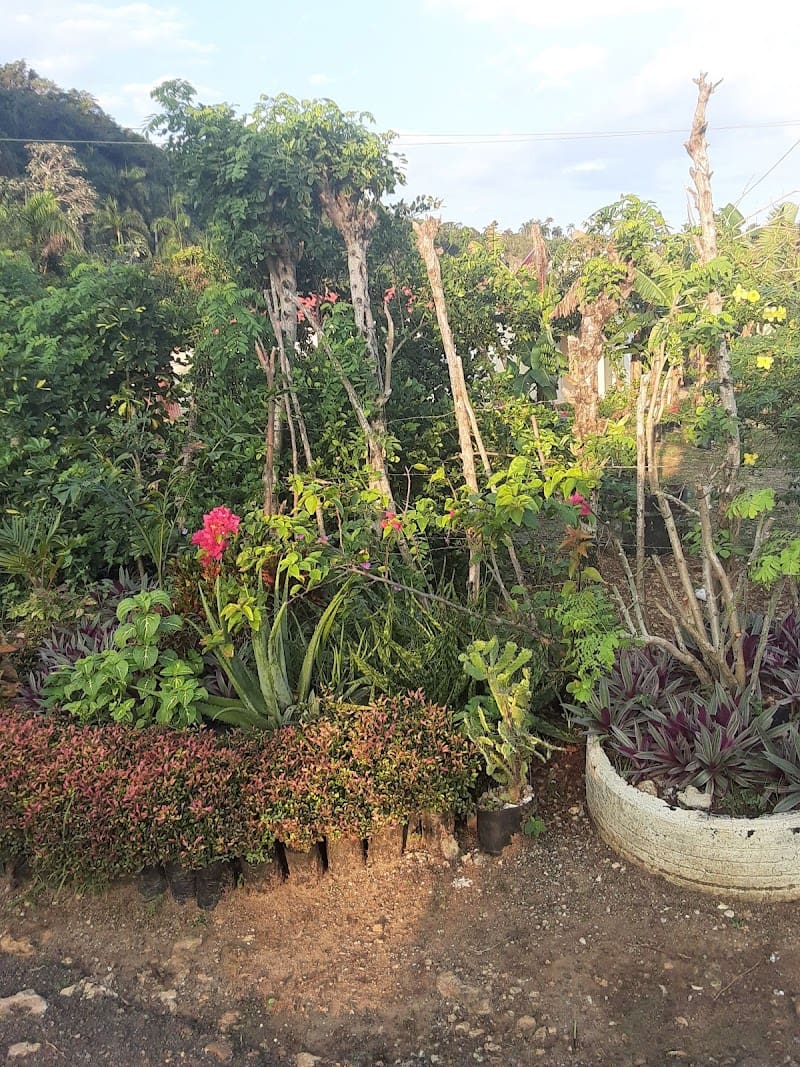 Vivero la Cordillera